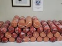 Woman caught smuggling more than 700 pounds of bologna at southern border: CBP