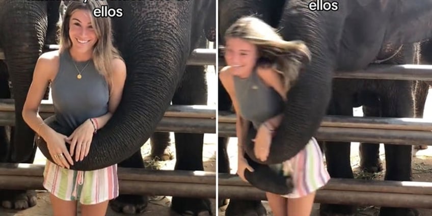 woman goes viral after shes knocked to the ground while taking photos with elephants in thailand