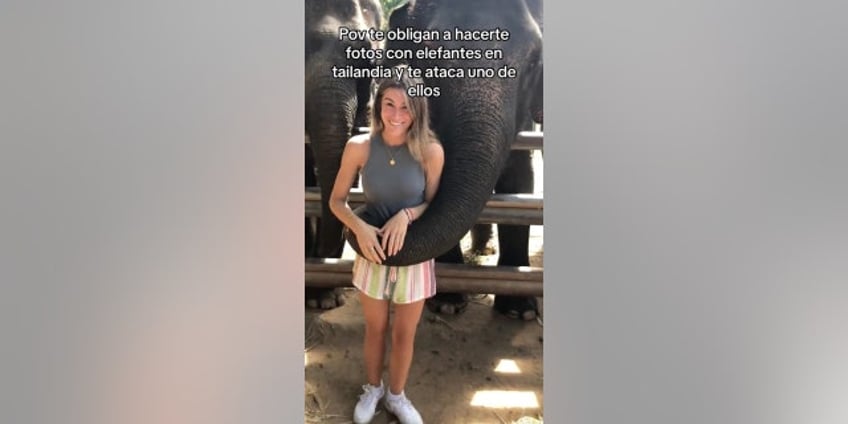 woman goes viral after shes knocked to the ground while taking photos with elephants in thailand