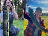 Woman in Oregon reels in record-breaking fish: 'Very strong'