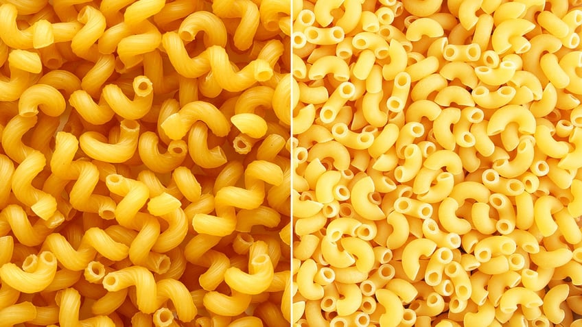 A split image comparing cavatappi pasta and macaroni pasta.