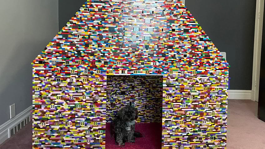 Dog in Lego doghouse