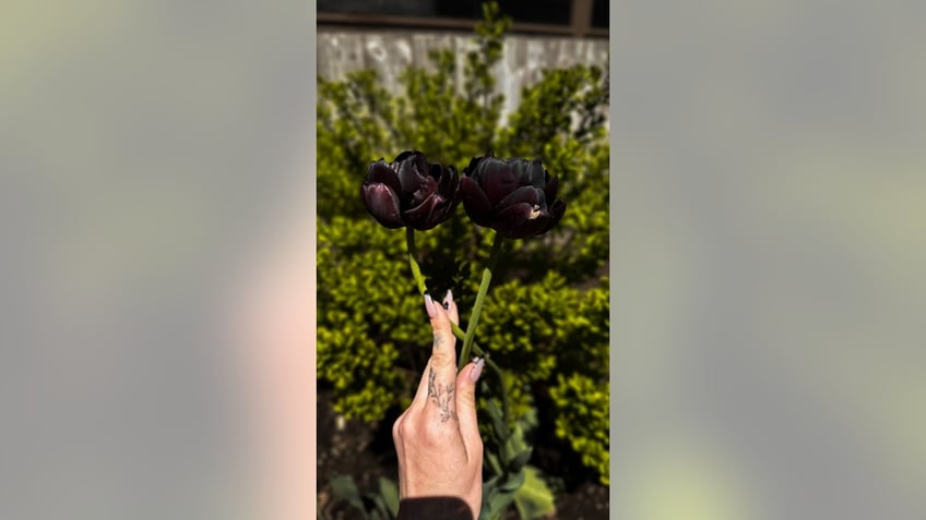 Black flowers