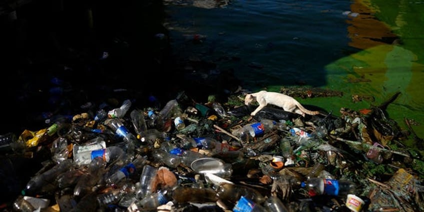 worlds largest lake in venezuela now a polluted wasteland due to pollution oil toxic algae experts say