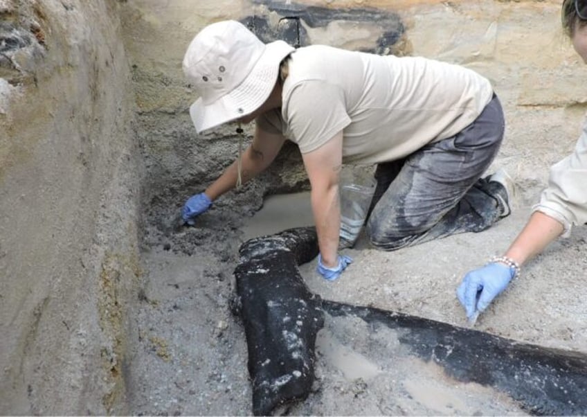 worlds oldest wooden structure discovered in zambia