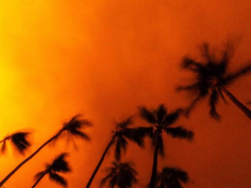 wsj hawaiian electric focused on climate change neglected wildfire risk