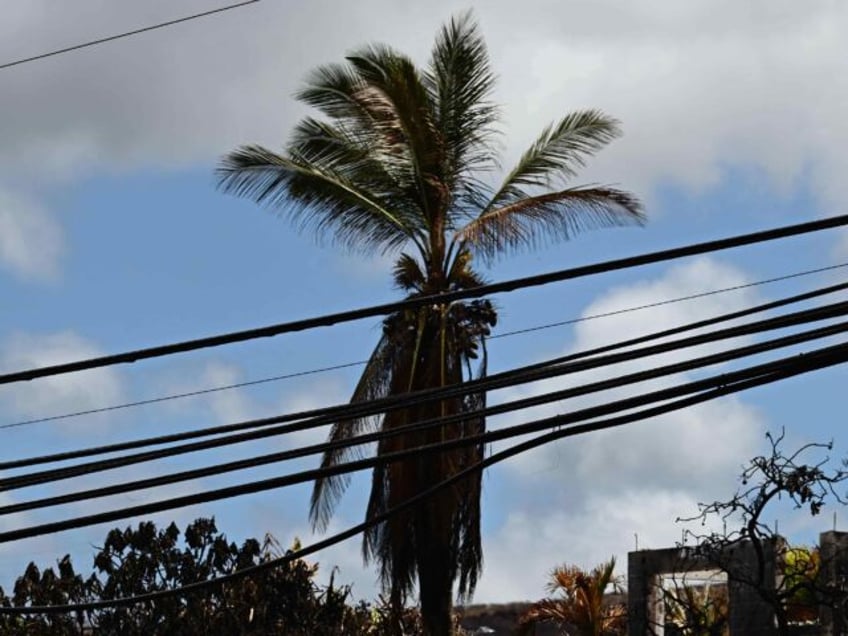 wsj hawaiian electric focused on climate change neglected wildfire risk