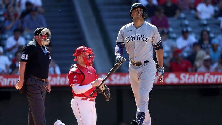 yankees pitcher tommy kahnle destroys dugout fan during outburst in loss to angels