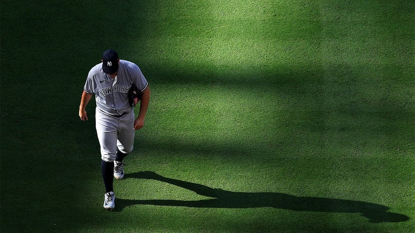 yankees pitcher tommy kahnle destroys dugout fan during outburst in loss to angels