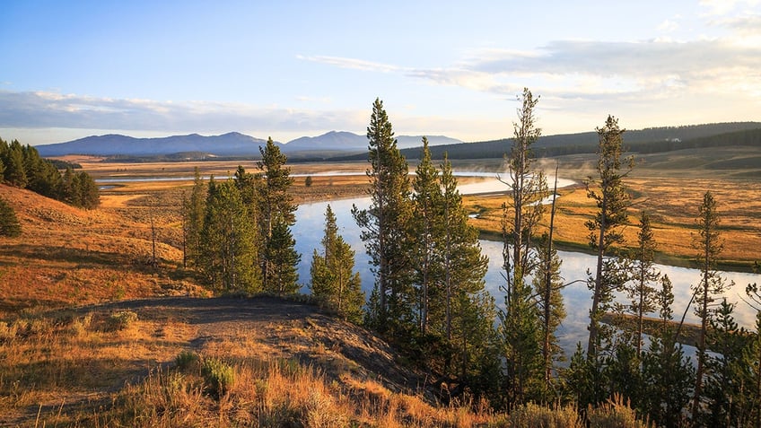 hayden valley yellowstone national park