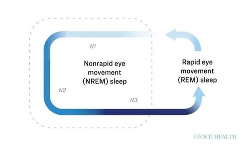 your brain flushes out waste every night heres how to help it clean up