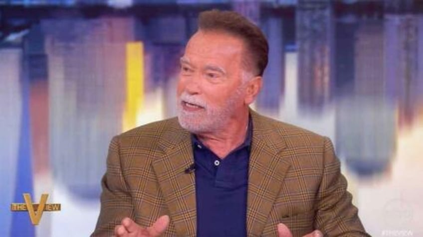 youve got to do things legally arnold shocks the view with pro america rant no one saw coming