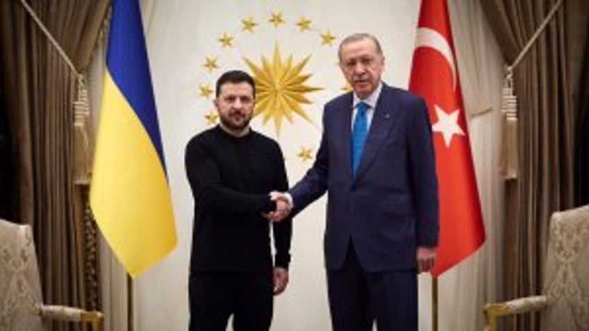 Zelensky critical of U.S.-Russia peace talks, meets with Turkey's Erdogan